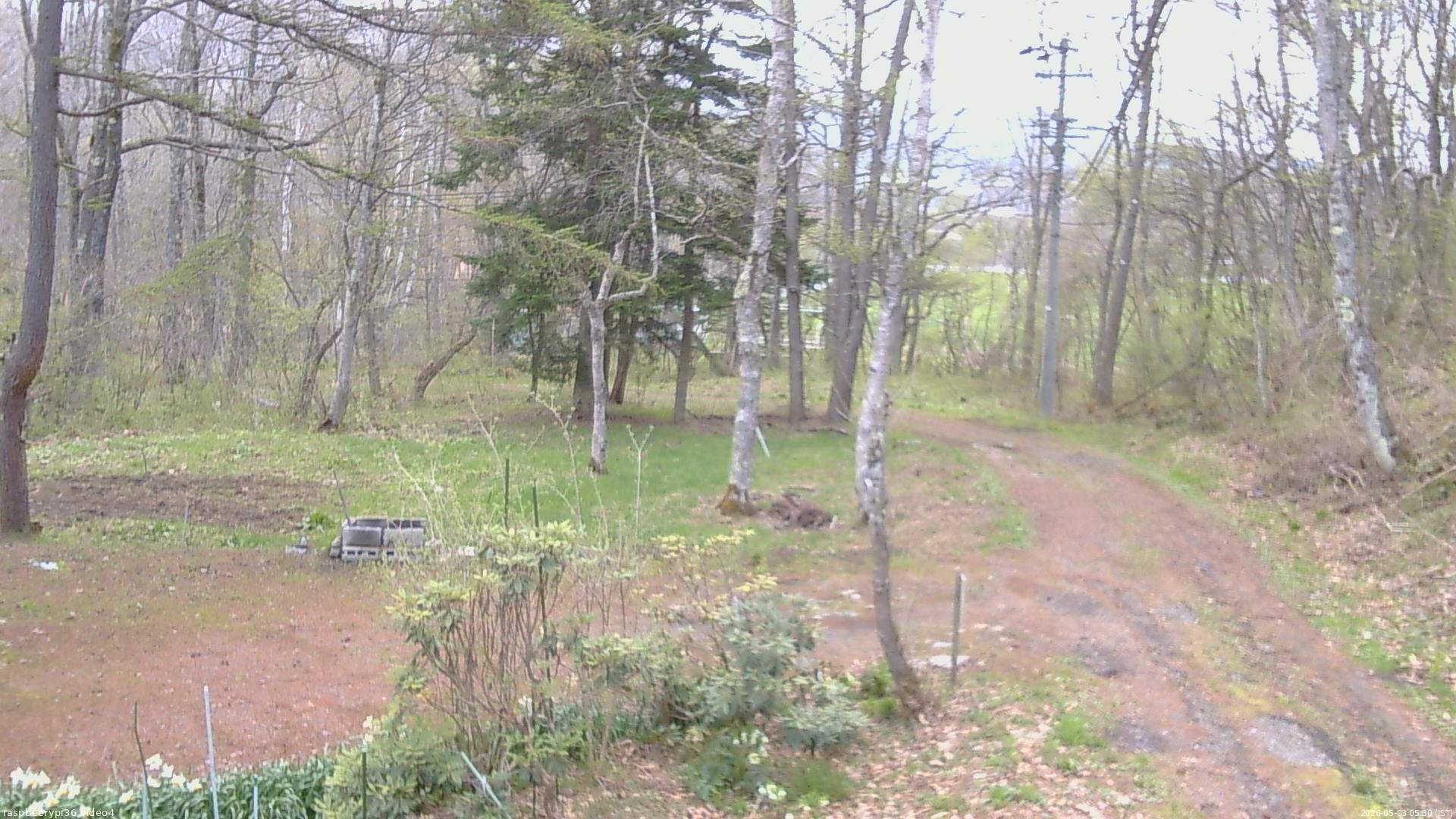 長野県菅平高原 ゆたか山荘 坂上 2026/05/03 05:30