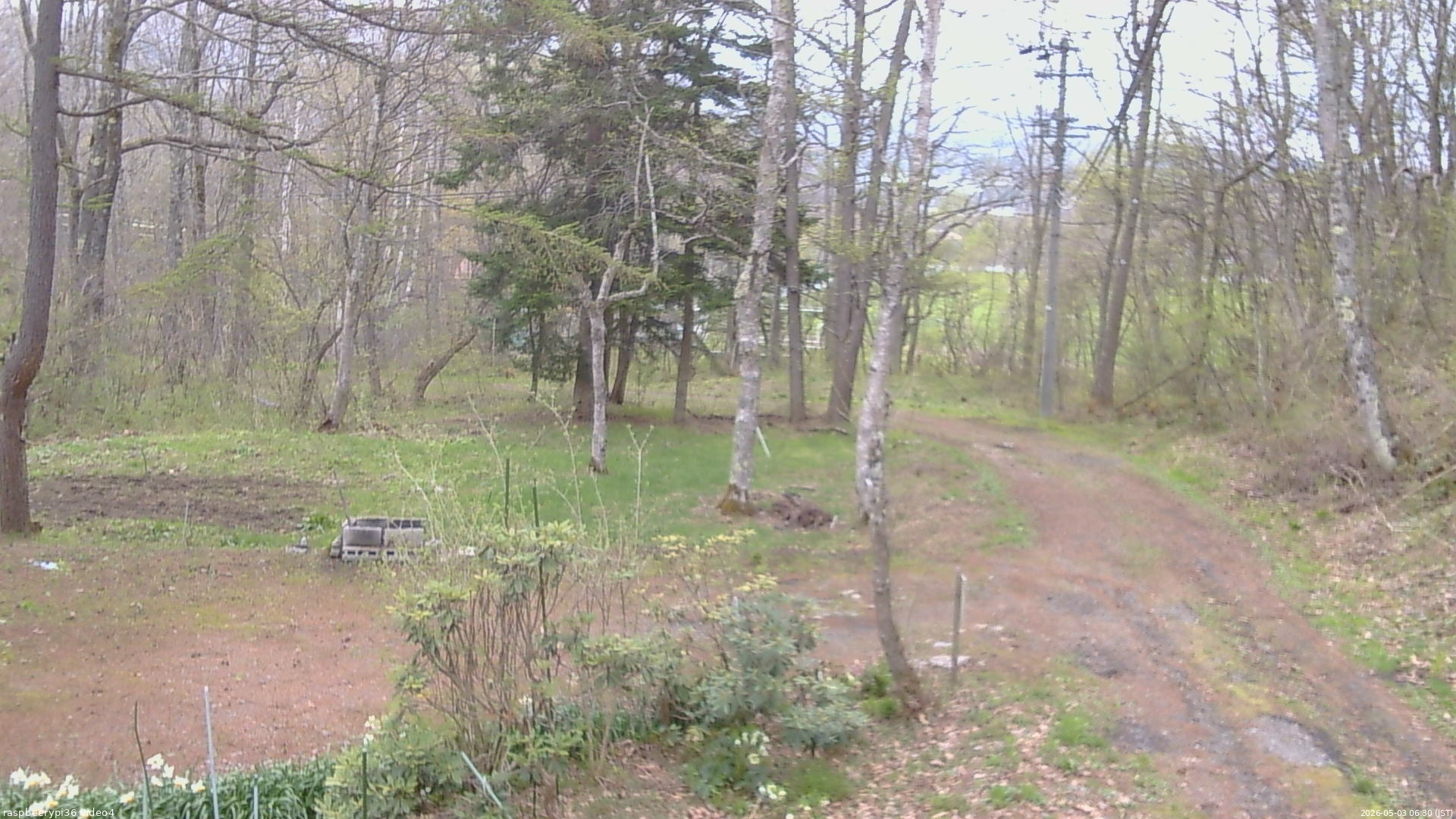 長野県菅平高原 ゆたか山荘 坂上 2026/05/03 06:30