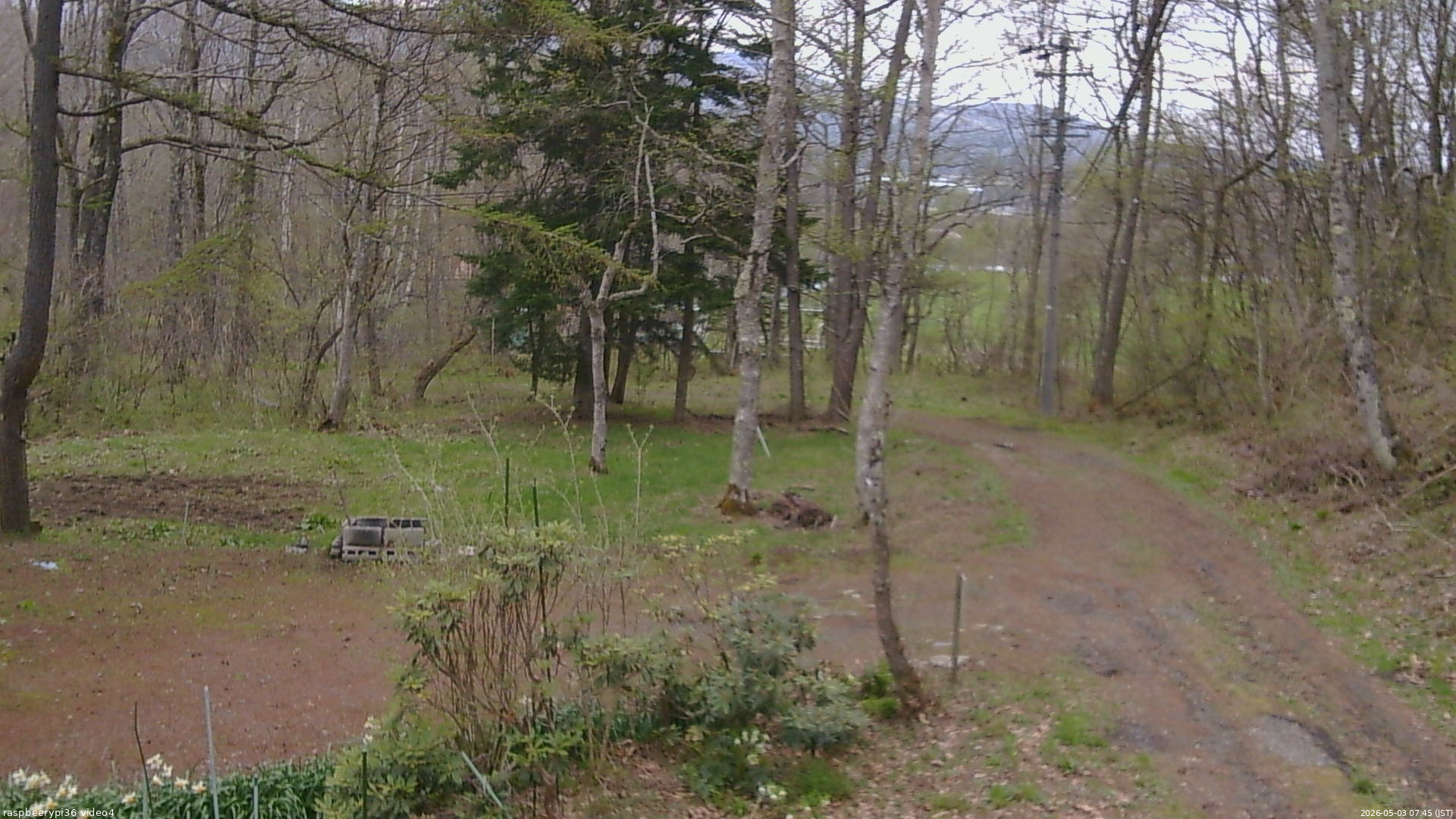 長野県菅平高原 ゆたか山荘 坂上 2026/05/03 07:45