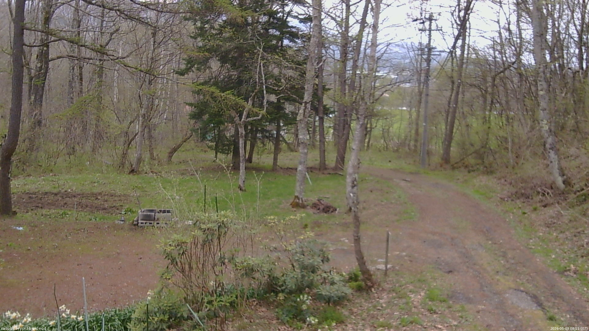 長野県菅平高原 ゆたか山荘 坂上 2026/05/03 08:15