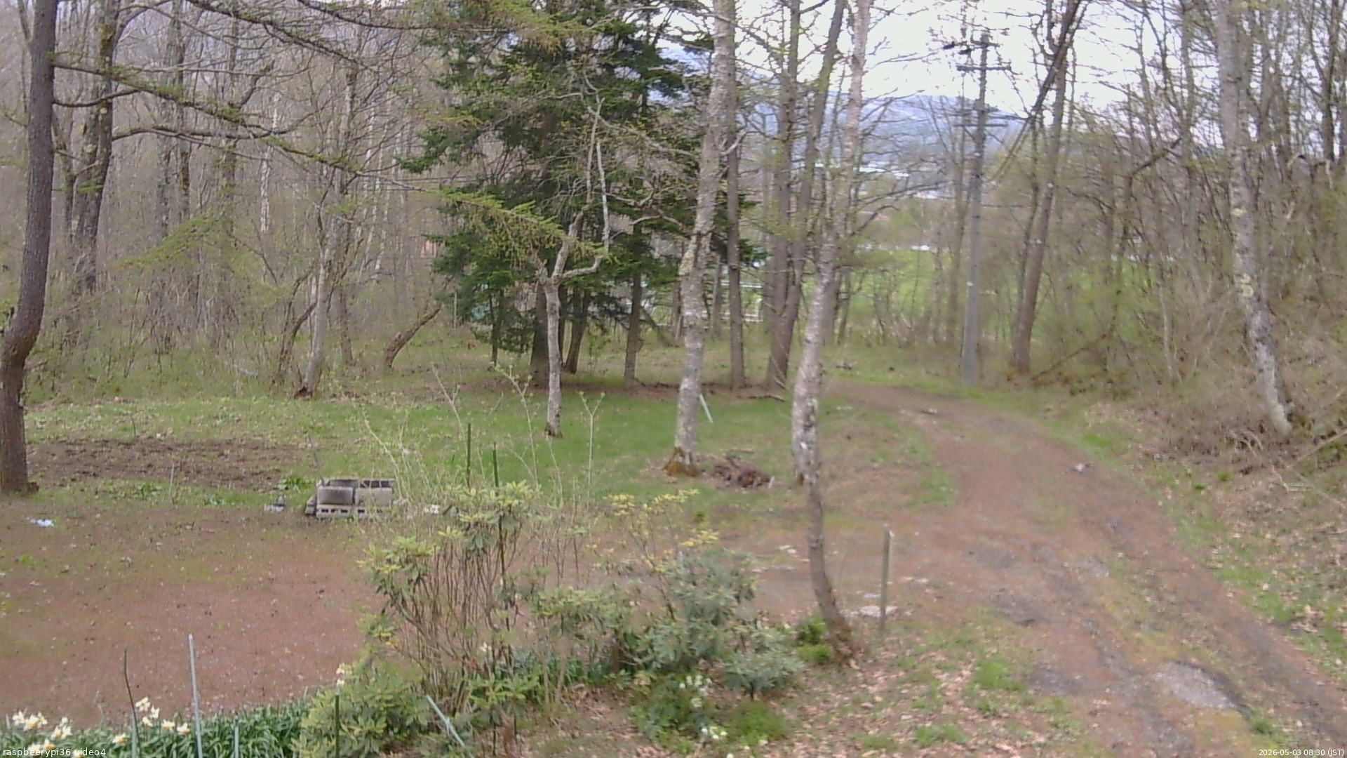 長野県菅平高原 ゆたか山荘 坂上 2026/05/03 08:30