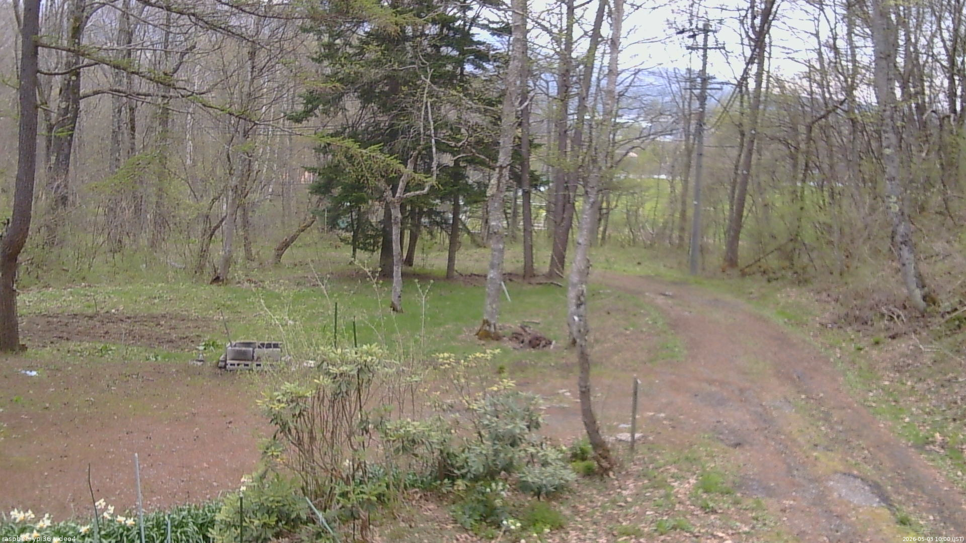 長野県菅平高原 ゆたか山荘 坂上 2026/05/03 10:00