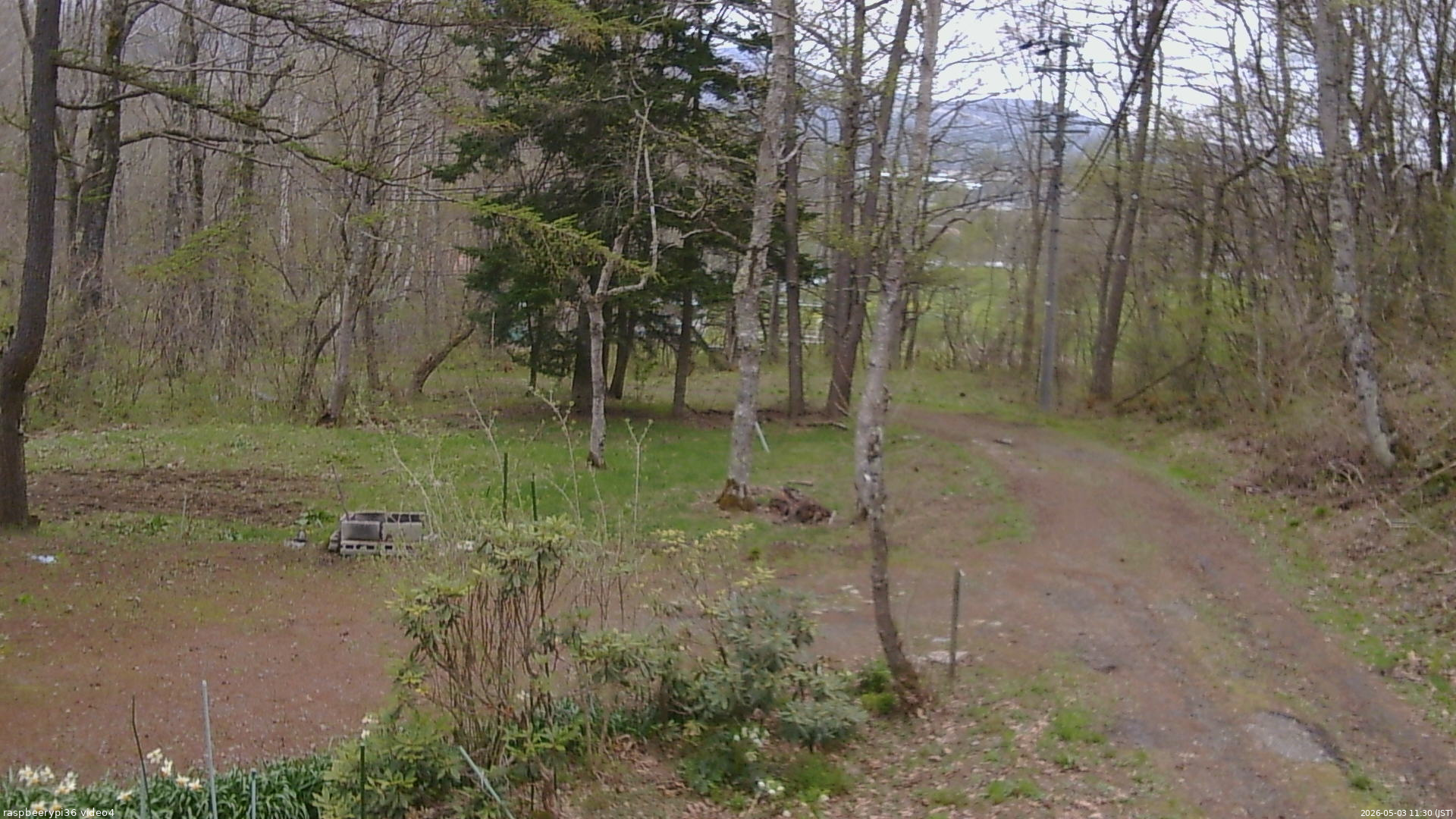 長野県菅平高原 ゆたか山荘 坂上 2026/05/03 11:30