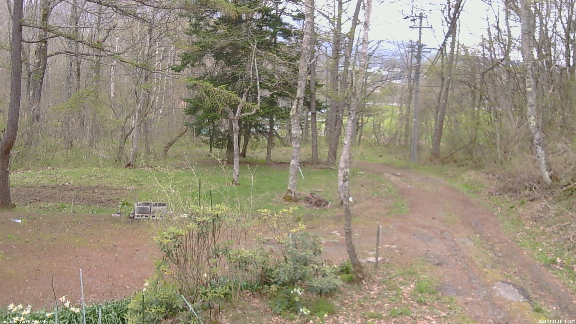 長野県菅平高原 ゆたか山荘 坂上 2026/05/03 11:45