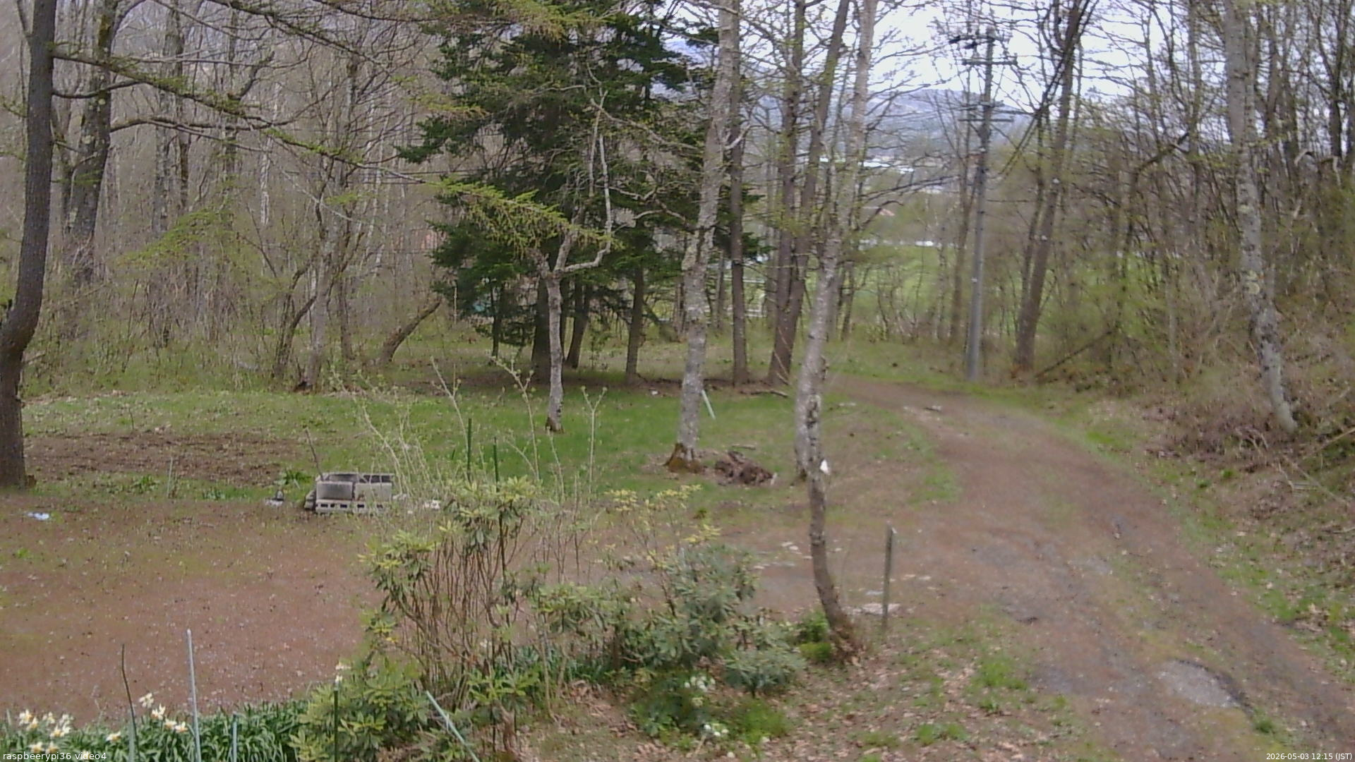 長野県菅平高原 ゆたか山荘 坂上 2026/05/03 12:15