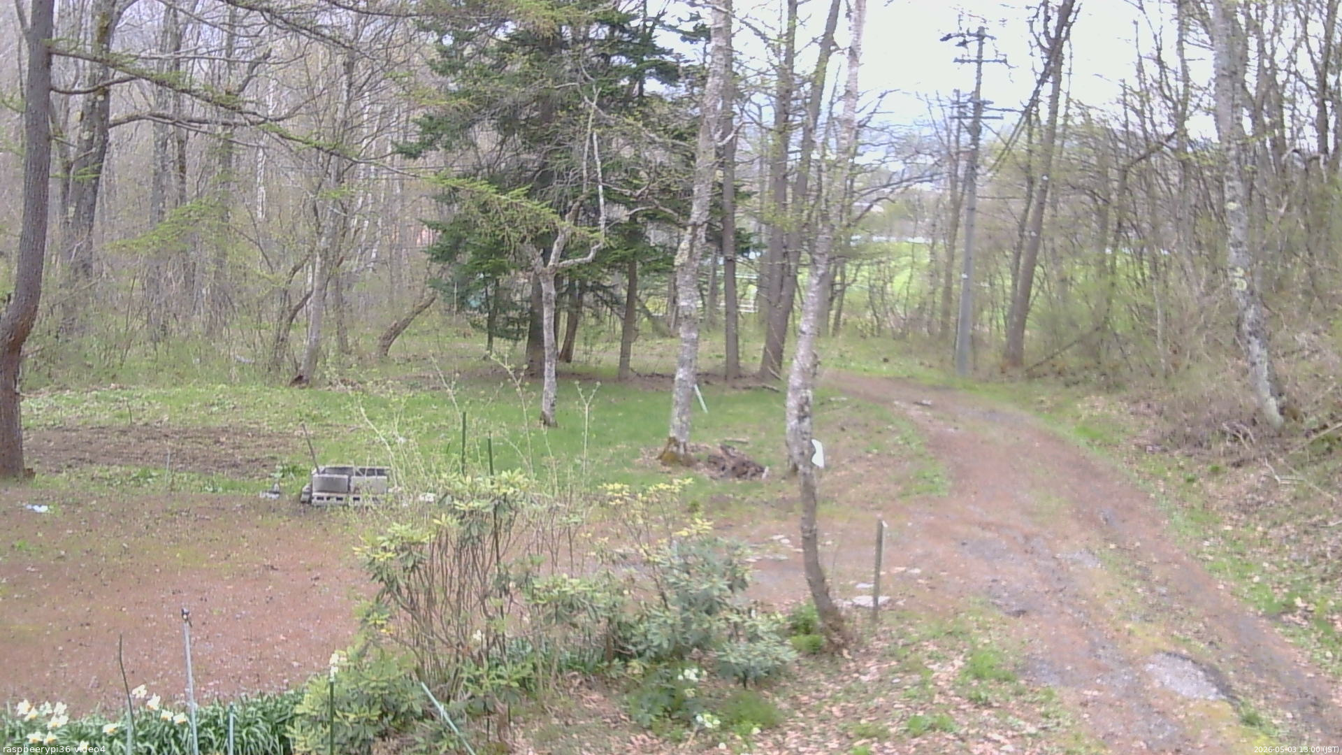 長野県菅平高原 ゆたか山荘 坂上 2026/05/03 13:00
