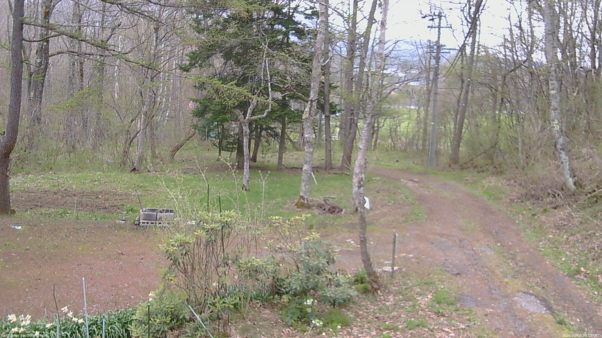 長野県菅平高原 ゆたか山荘 坂上 2026/05/03 13:15