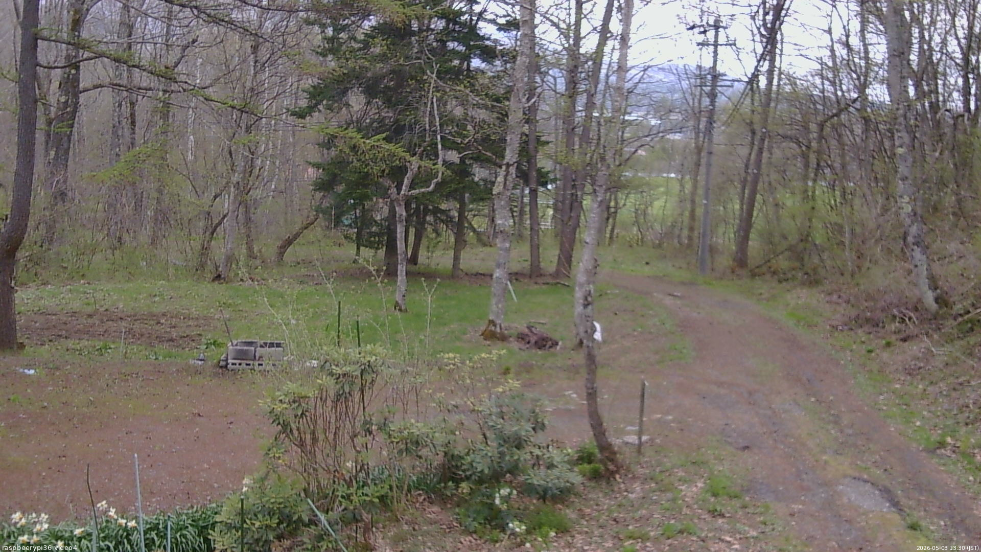 長野県菅平高原 ゆたか山荘 坂上 2026/05/03 13:30