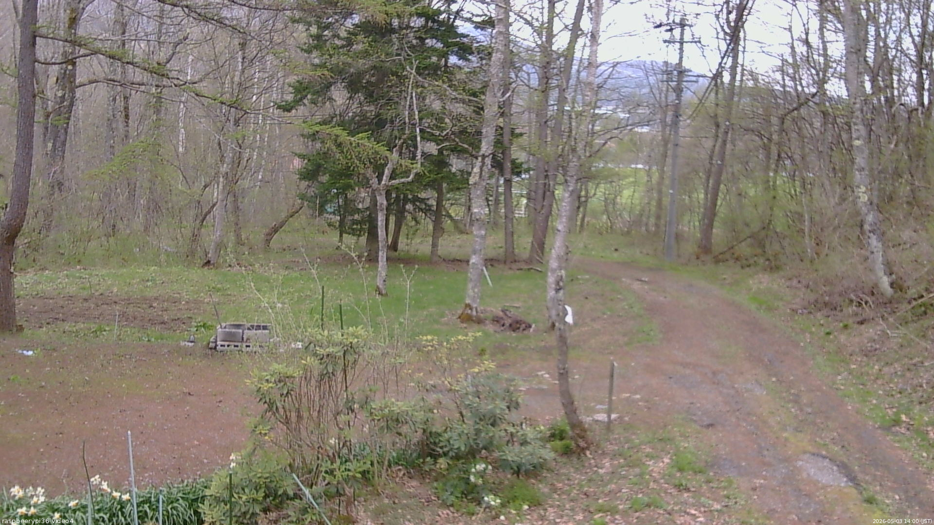 長野県菅平高原 ゆたか山荘 坂上 2026/05/03 14:00
