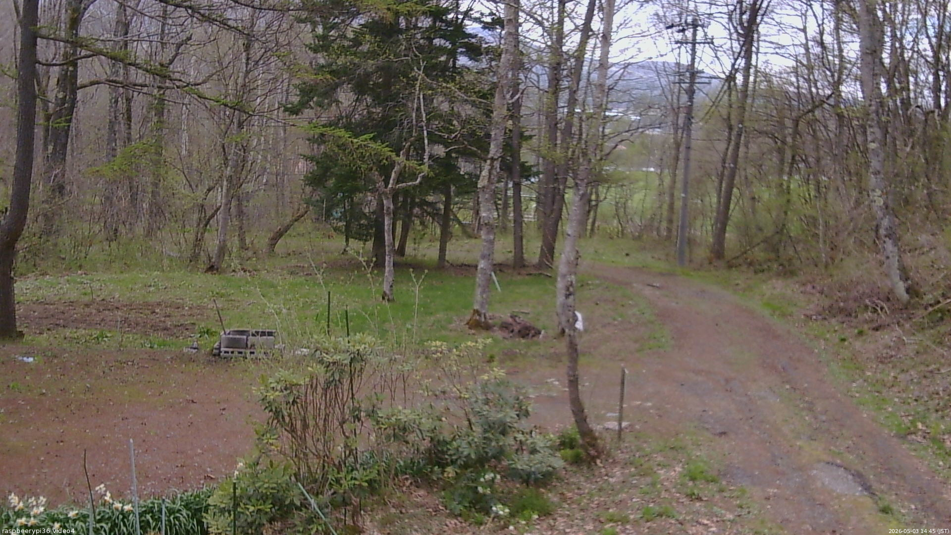 長野県菅平高原 ゆたか山荘 坂上 2026/05/03 14:45