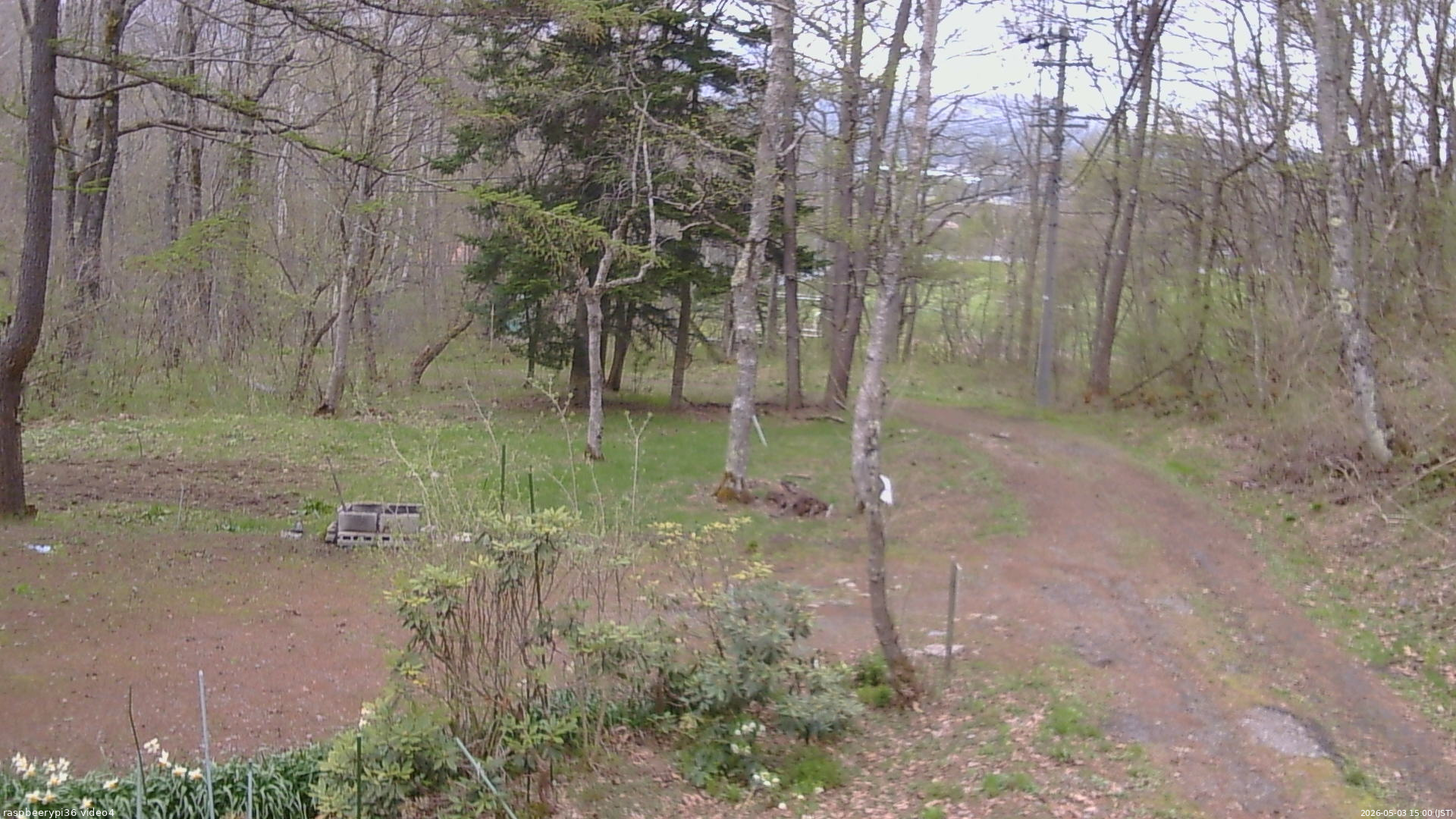 長野県菅平高原 ゆたか山荘 坂上 2026/05/03 15:00