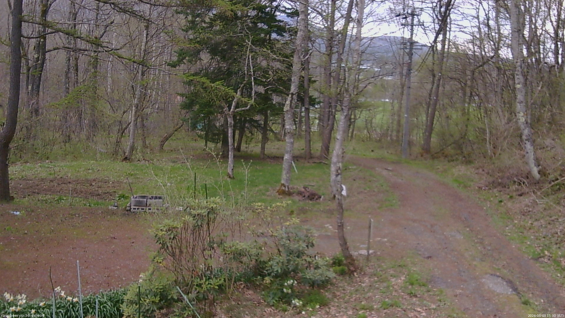 長野県菅平高原 ゆたか山荘 坂上 2026/05/03 15:30