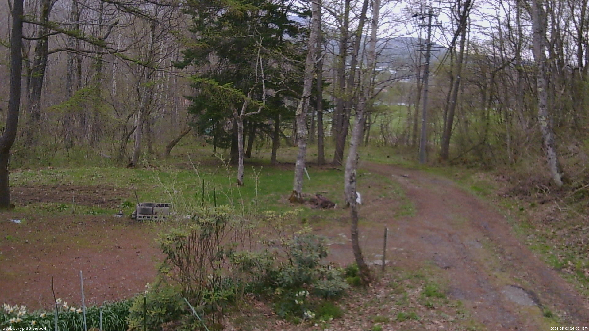 長野県菅平高原 ゆたか山荘 坂上 2026/05/03 16:00