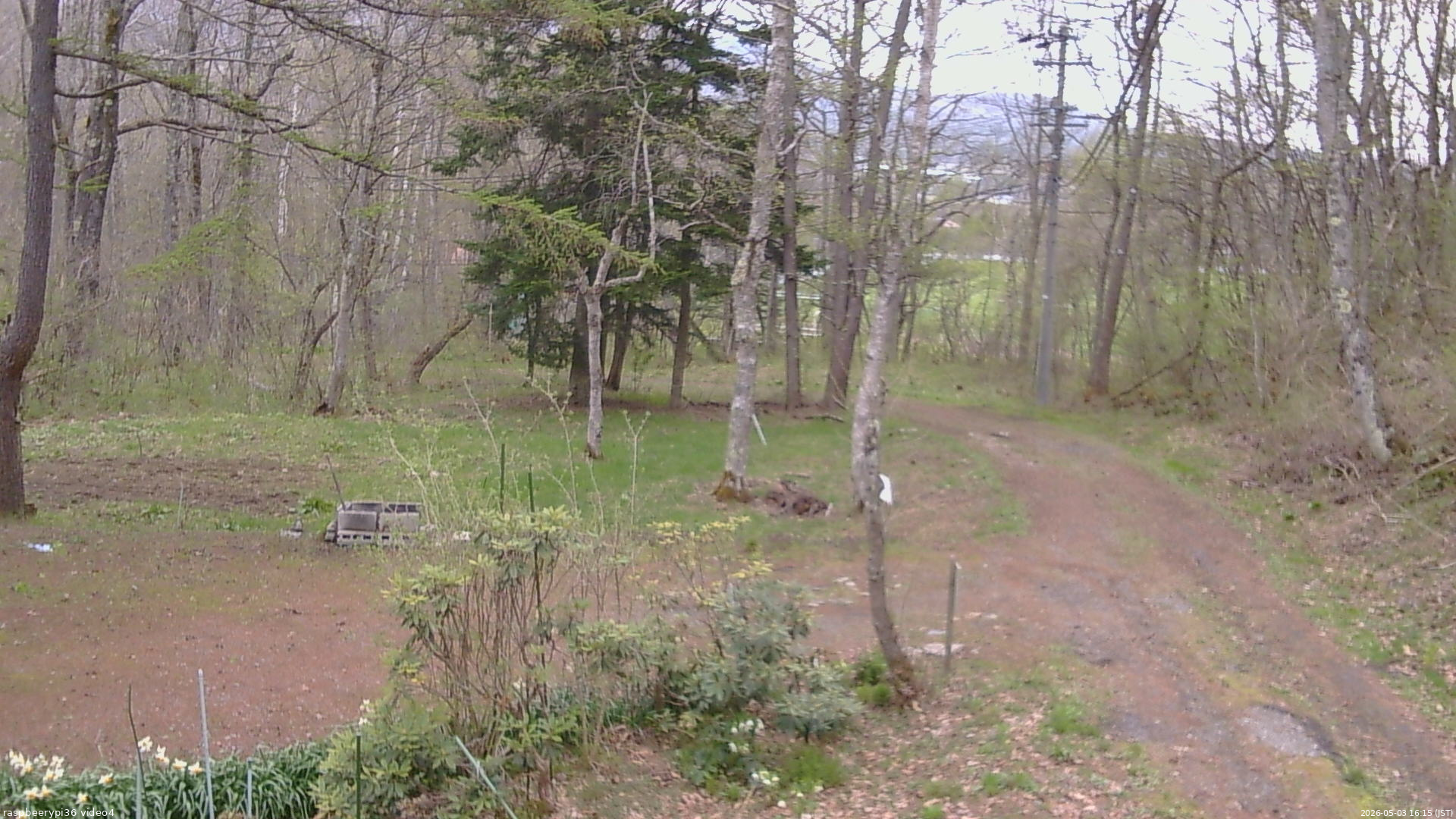 長野県菅平高原 ゆたか山荘 坂上 2026/05/03 16:15