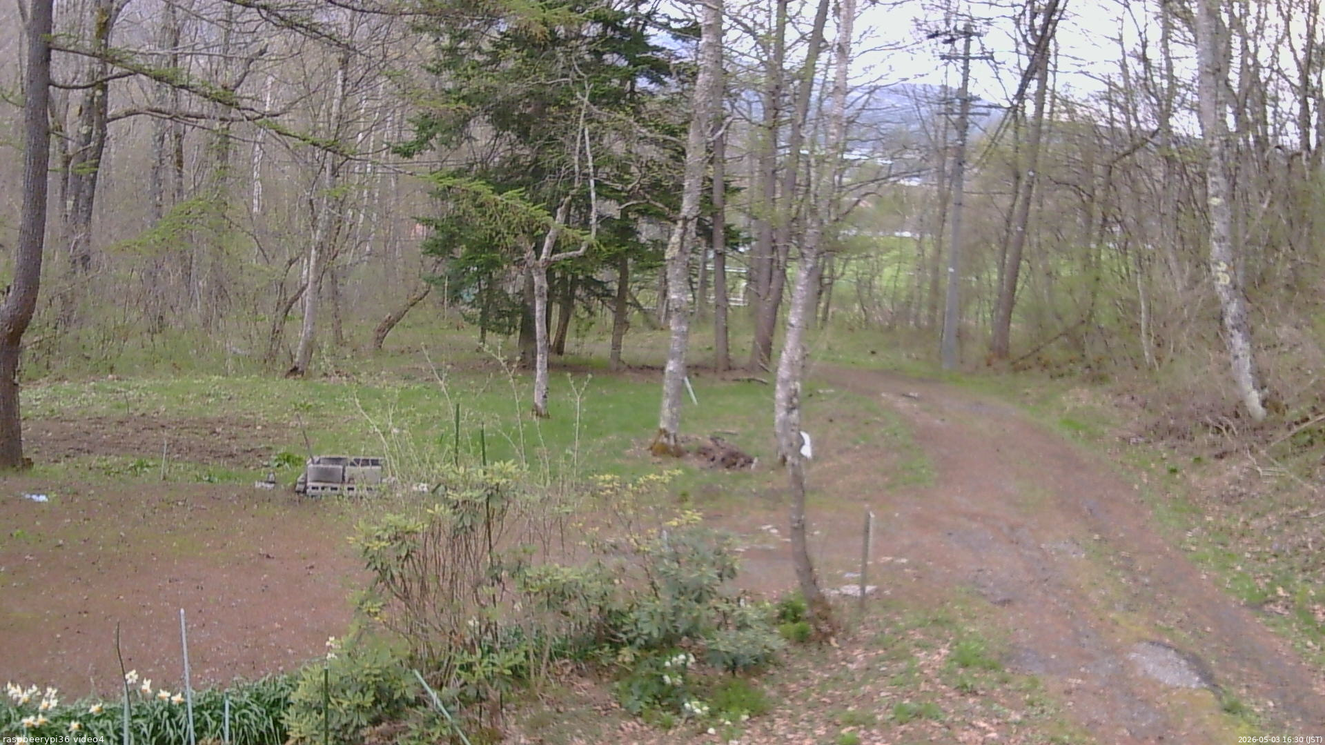 長野県菅平高原 ゆたか山荘 坂上 2026/05/03 16:30