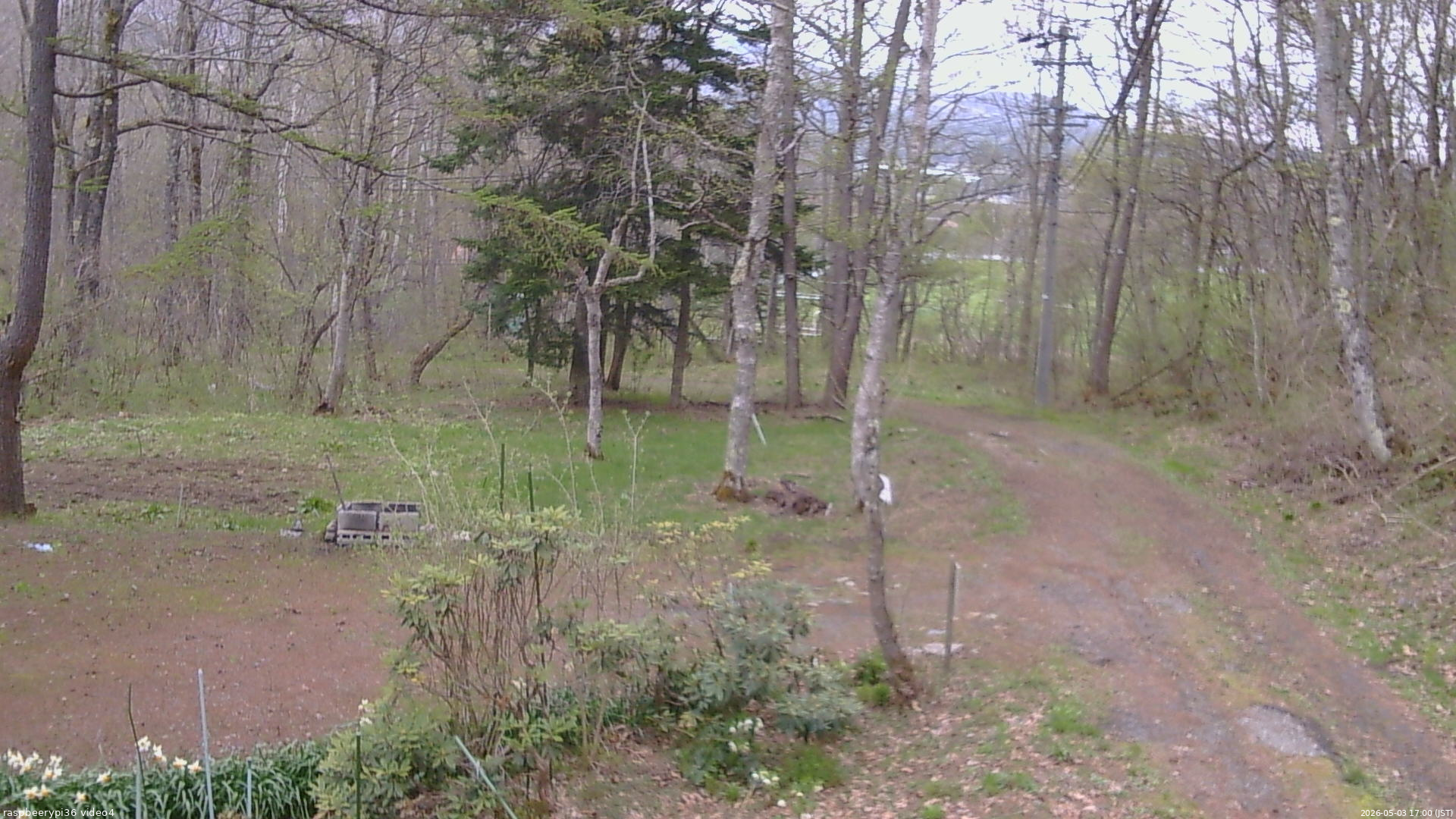 長野県菅平高原 ゆたか山荘 坂上 2026/05/03 17:00