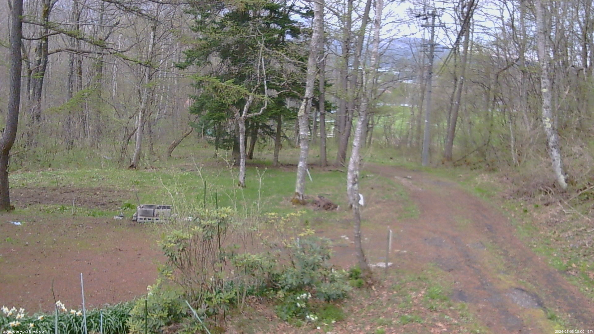 長野県菅平高原 ゆたか山荘 坂上 2026/05/03 18:00