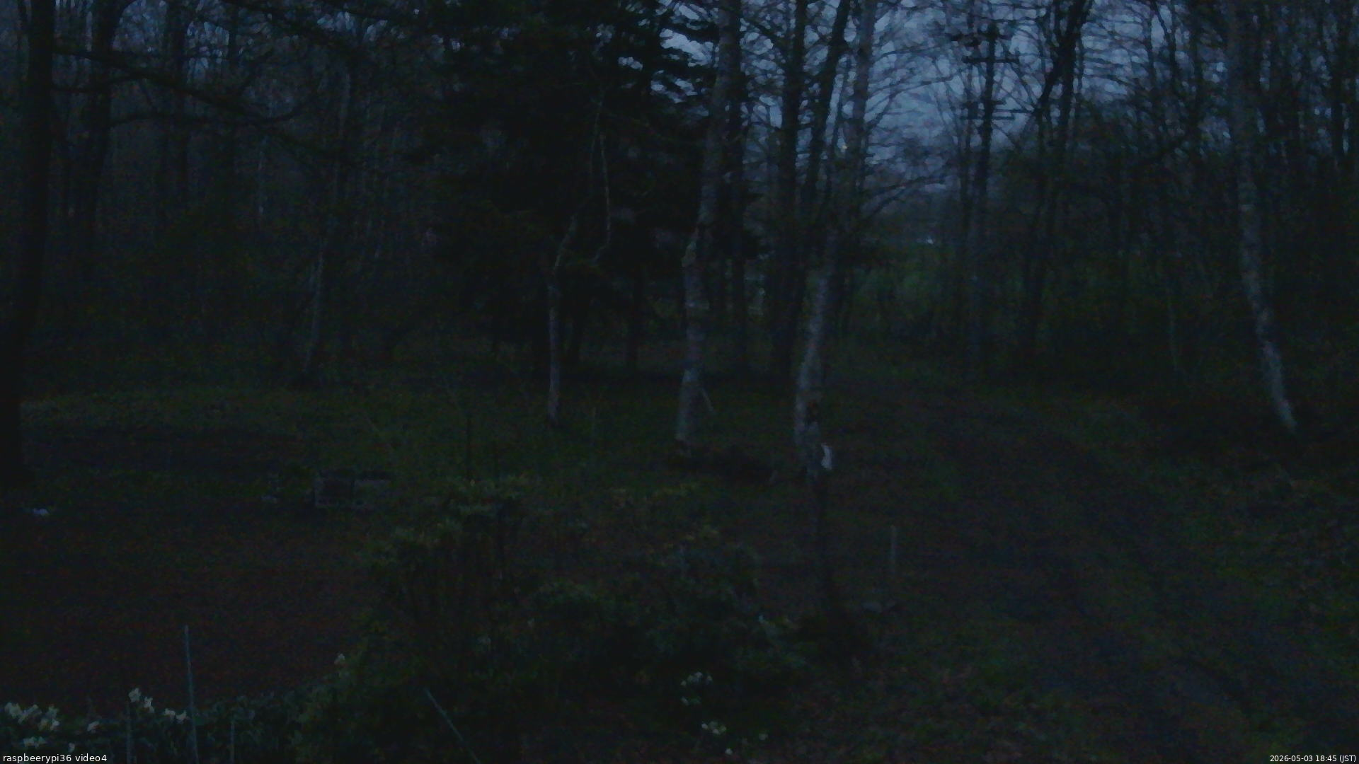 長野県菅平高原 ゆたか山荘 坂上 2026/05/03 18:45