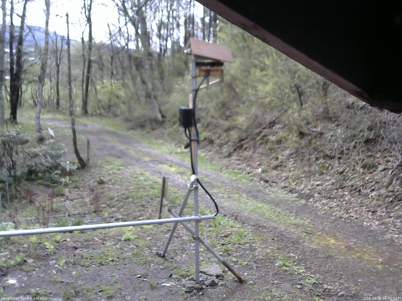 長野県菅平高原 ゆたか山荘 南側 2026/05/04 08:00