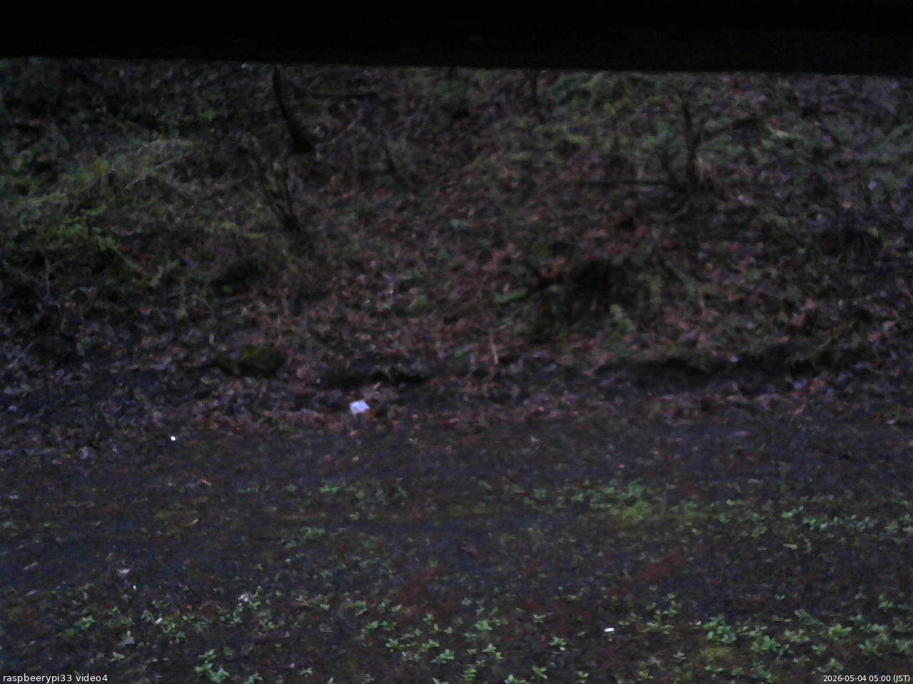 長野県菅平高原 ゆたか山荘 東側(坂下) 2026/05/04 05:00