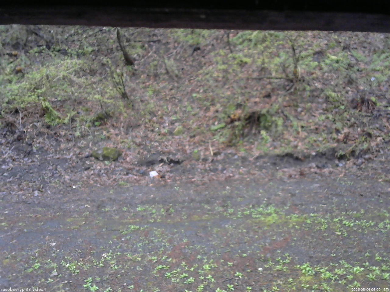長野県菅平高原 ゆたか山荘 東側(坂下) 2026/05/04 06:00