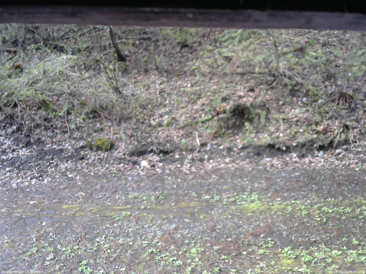 長野県菅平高原 ゆたか山荘 東側(坂下) 2026/05/04 08:00