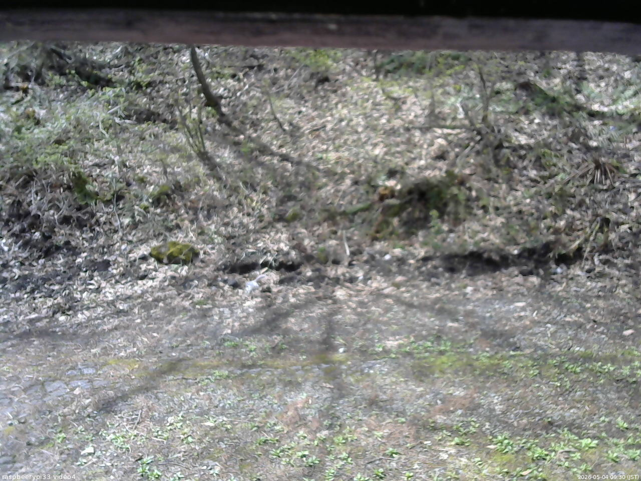 長野県菅平高原 ゆたか山荘 東側(坂下) 2026/05/04 09:30