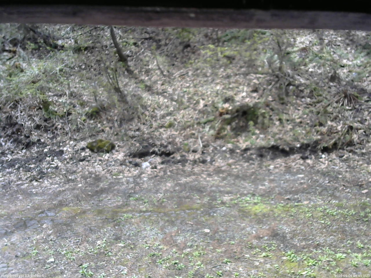 長野県菅平高原 ゆたか山荘 東側(坂下) 2026/05/04 09:45