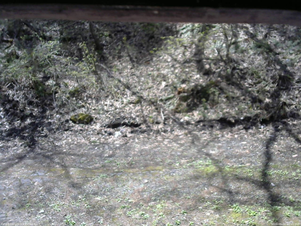 長野県菅平高原 ゆたか山荘 東側(坂下) 2026/05/04 10:15