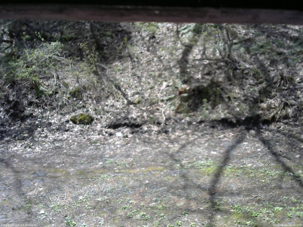 長野県菅平高原 ゆたか山荘 東側(坂下) 2026/05/04 10:30