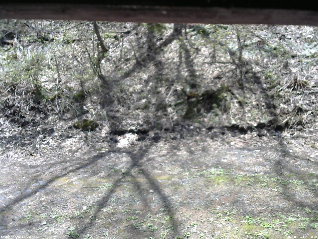 長野県菅平高原 ゆたか山荘 東側(坂下) 2026/05/04 11:30