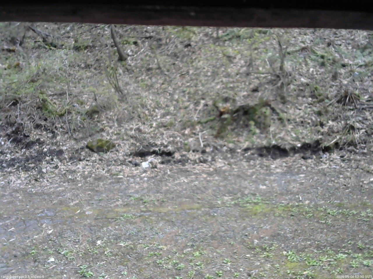 長野県菅平高原 ゆたか山荘 東側(坂下) 2026/05/04 12:30