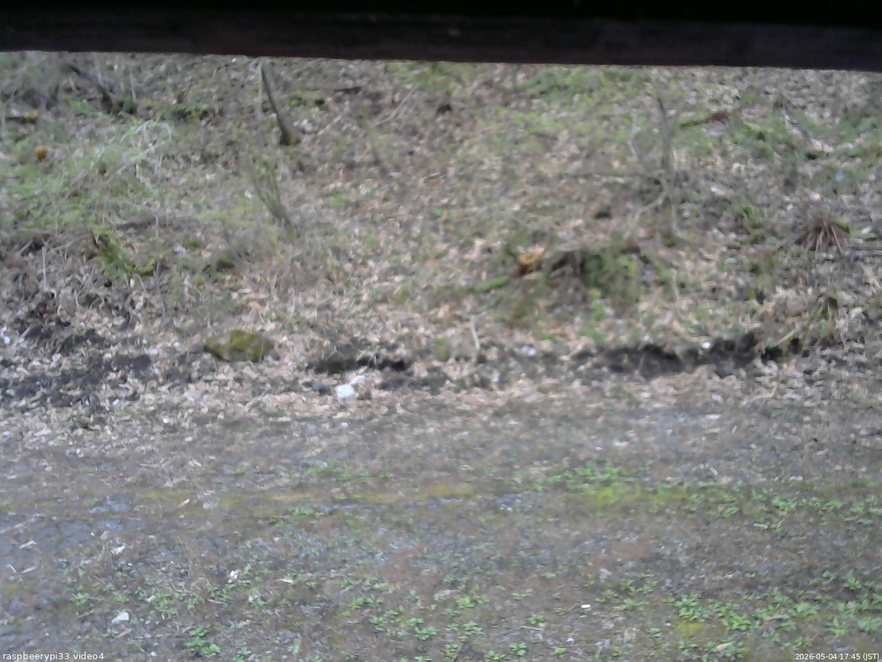 長野県菅平高原 ゆたか山荘 東側(坂下) 2026/05/04 17:45