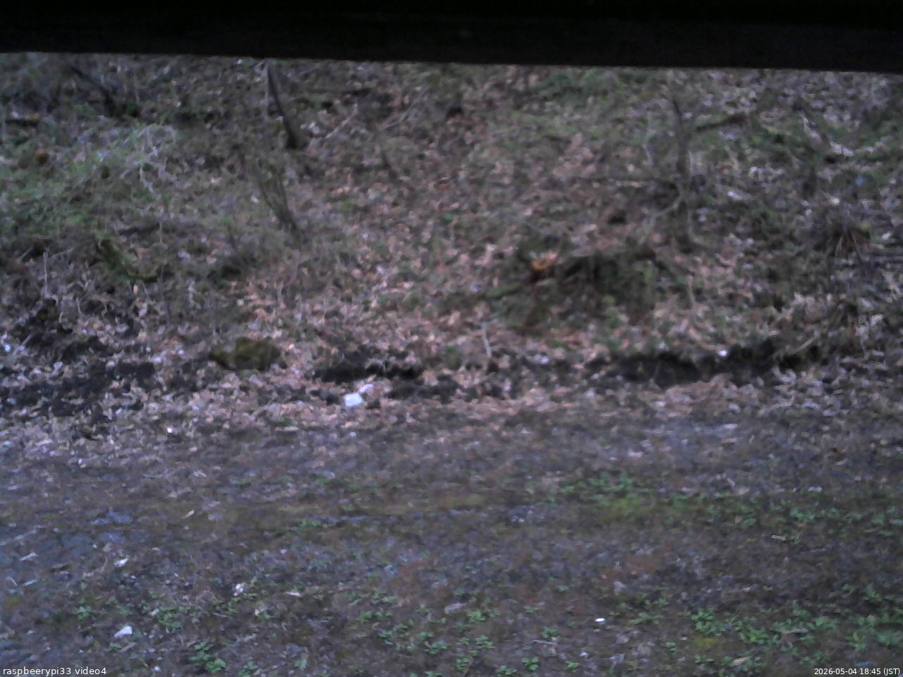 長野県菅平高原 ゆたか山荘 東側(坂下) 2026/05/04 18:45