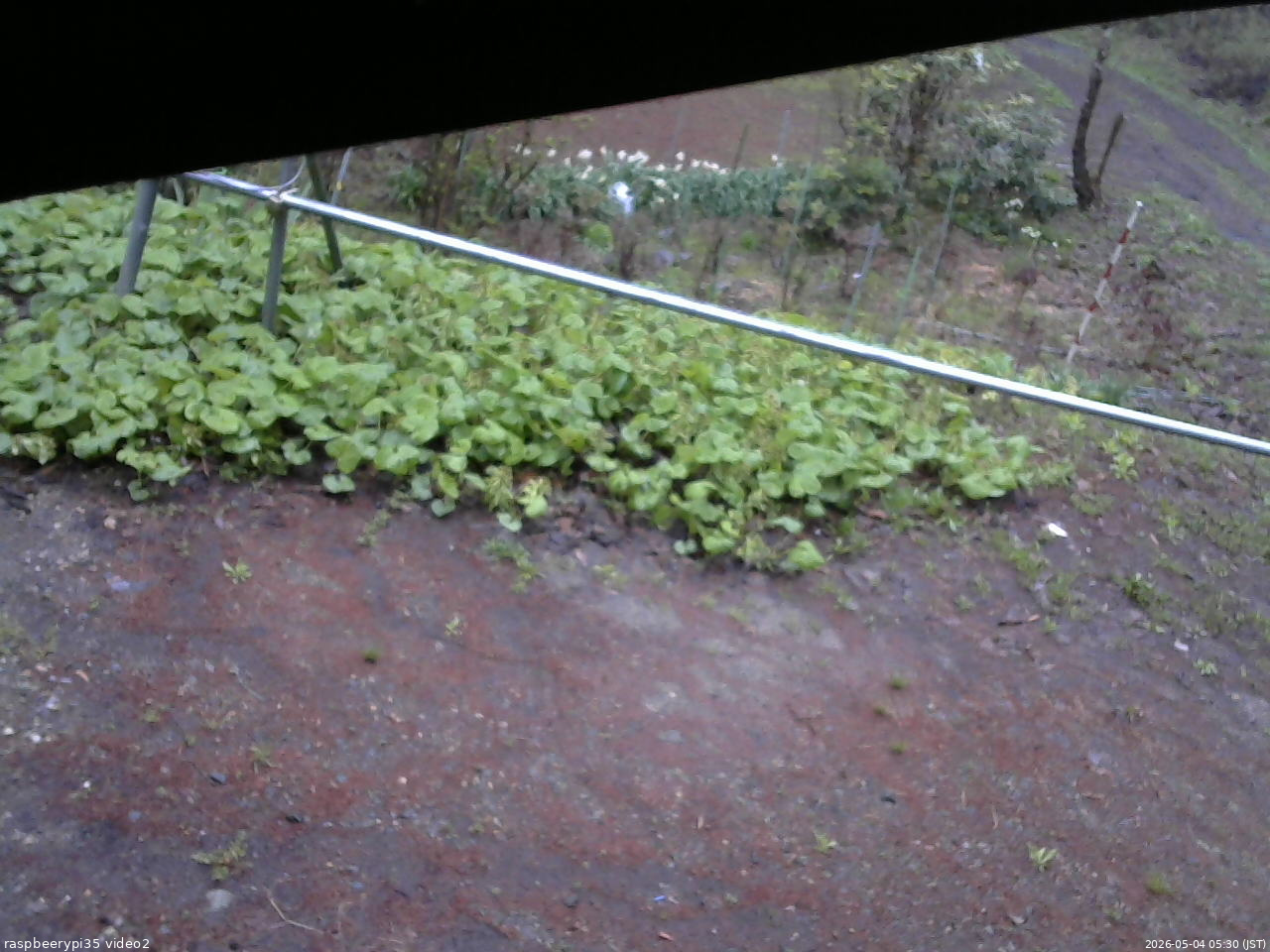 長野県菅平高原 ゆたか山荘 駐車場 2026/05/04 05:30