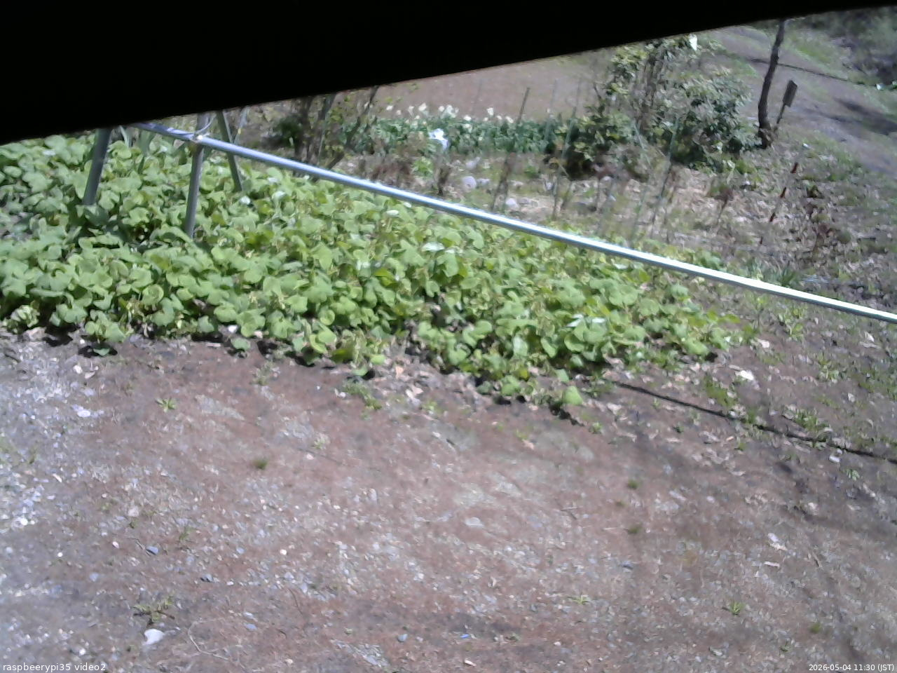 長野県菅平高原 ゆたか山荘 駐車場 2026/05/04 11:30