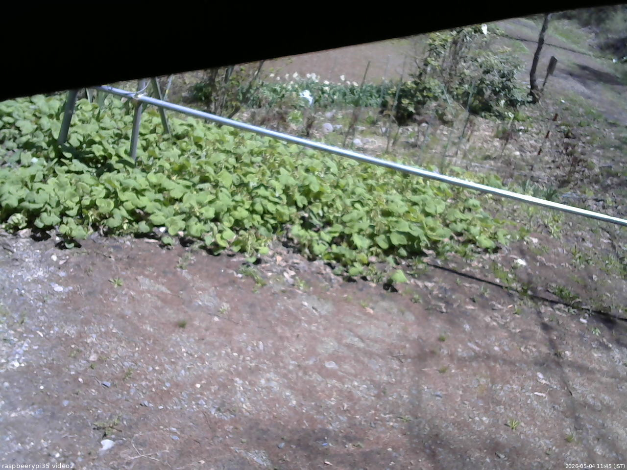 長野県菅平高原 ゆたか山荘 駐車場 2026/05/04 11:45