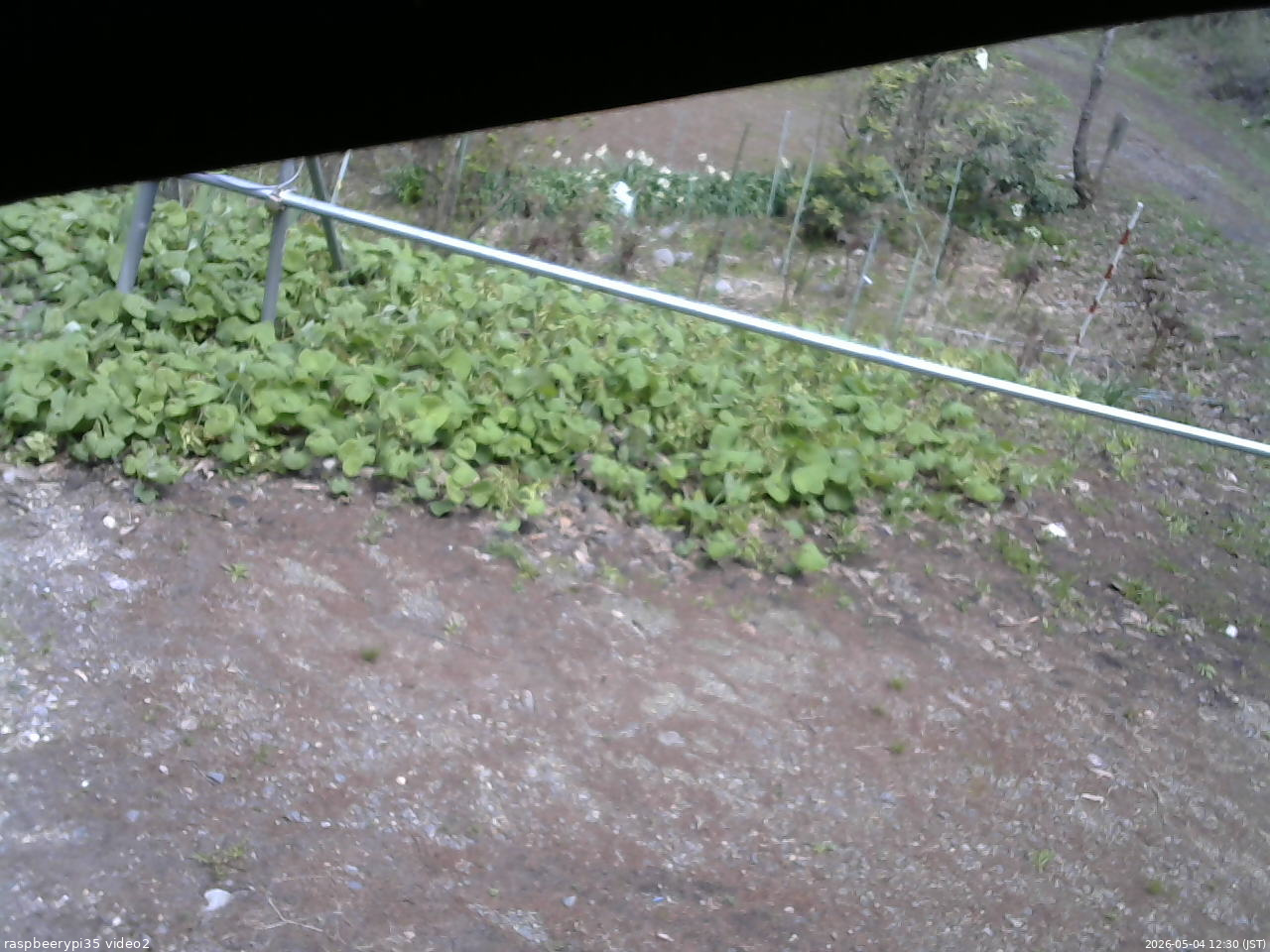 長野県菅平高原 ゆたか山荘 駐車場 2026/05/04 12:30