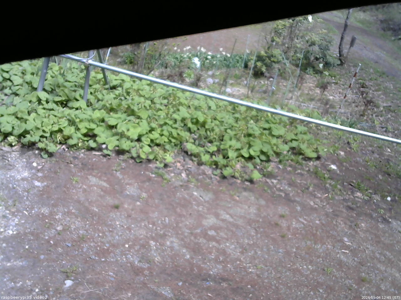 長野県菅平高原 ゆたか山荘 駐車場 2026/05/04 12:45