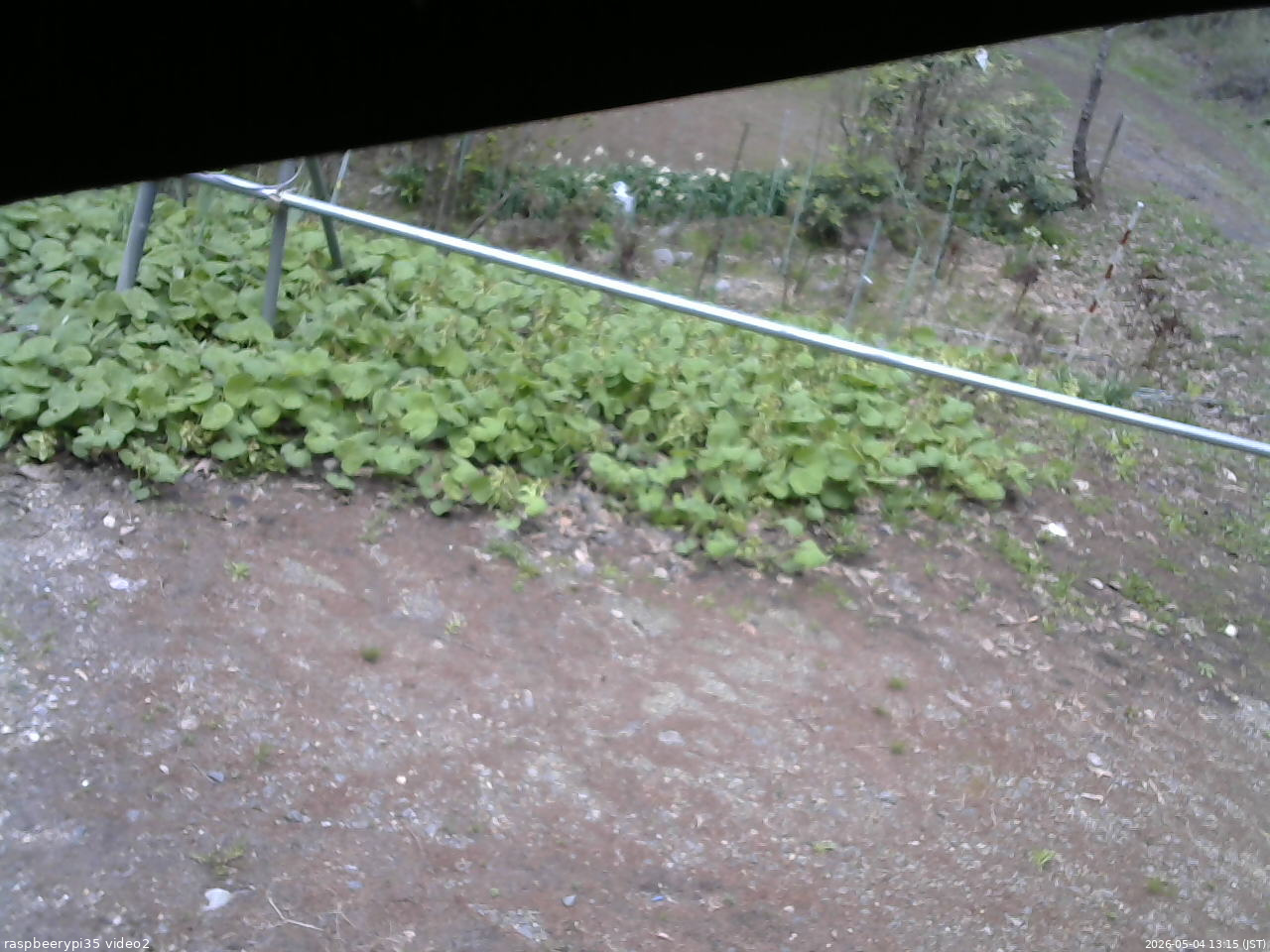 長野県菅平高原 ゆたか山荘 駐車場 2026/05/04 13:15
