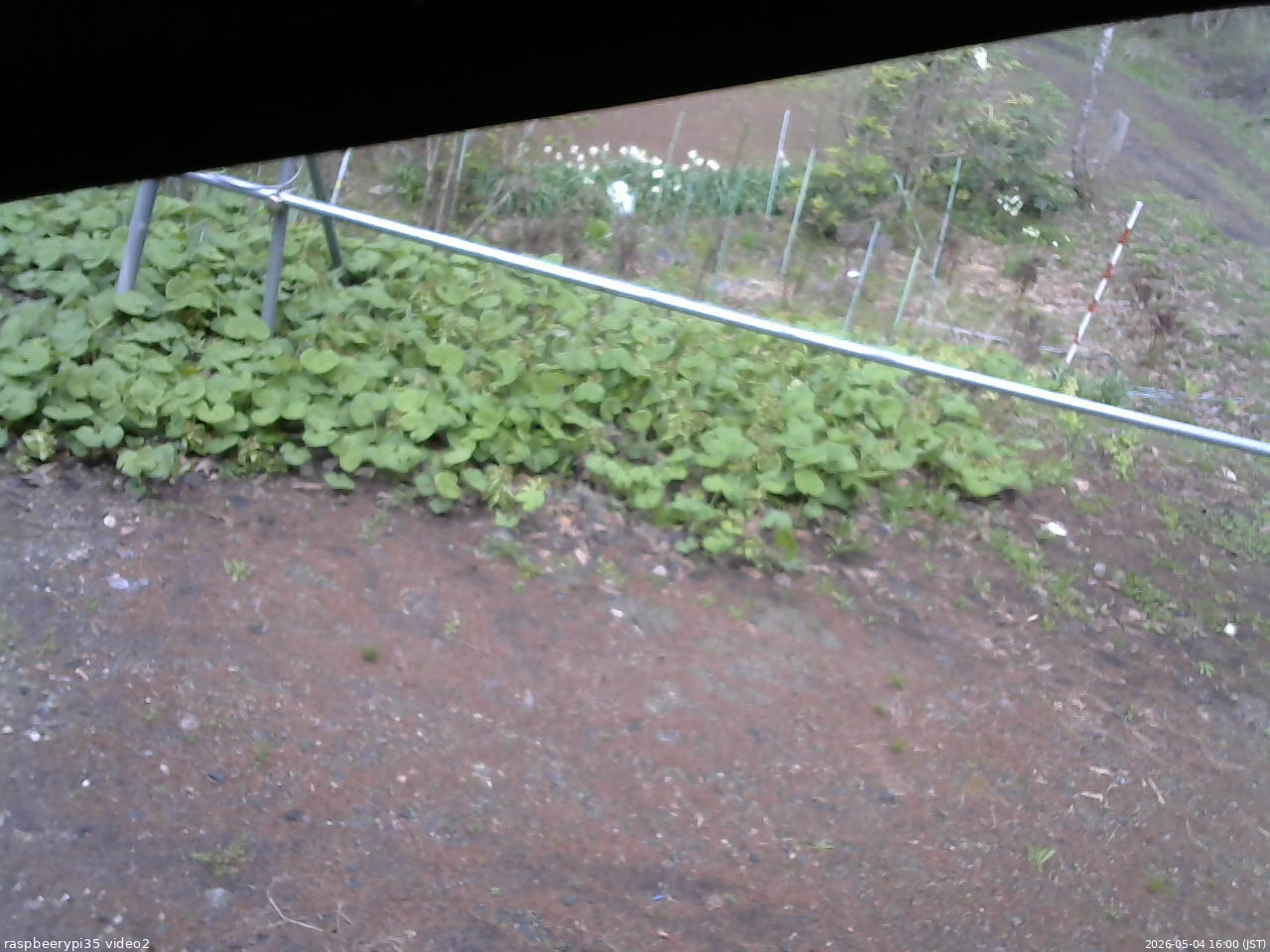 長野県菅平高原 ゆたか山荘 駐車場 2026/05/04 16:00