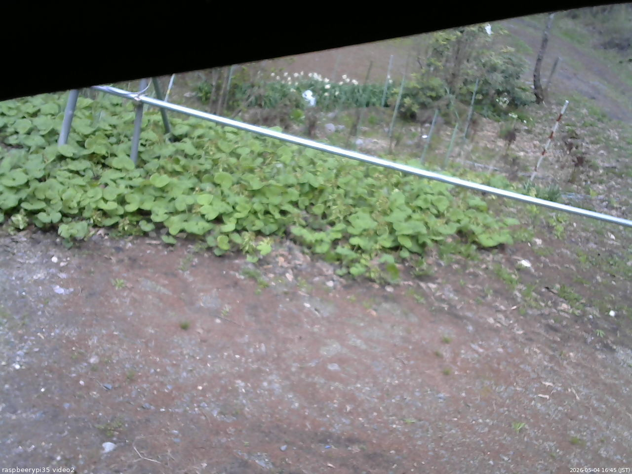 長野県菅平高原 ゆたか山荘 駐車場 2026/05/04 16:45
