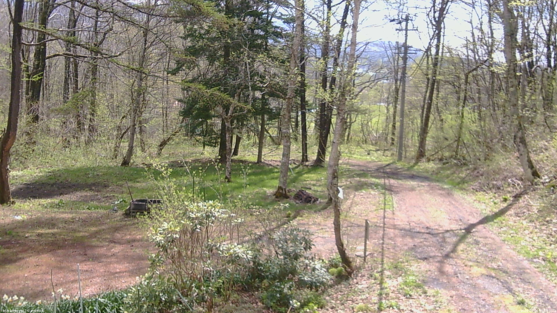 長野県菅平高原 ゆたか山荘 坂上 2026/05/04 09:15