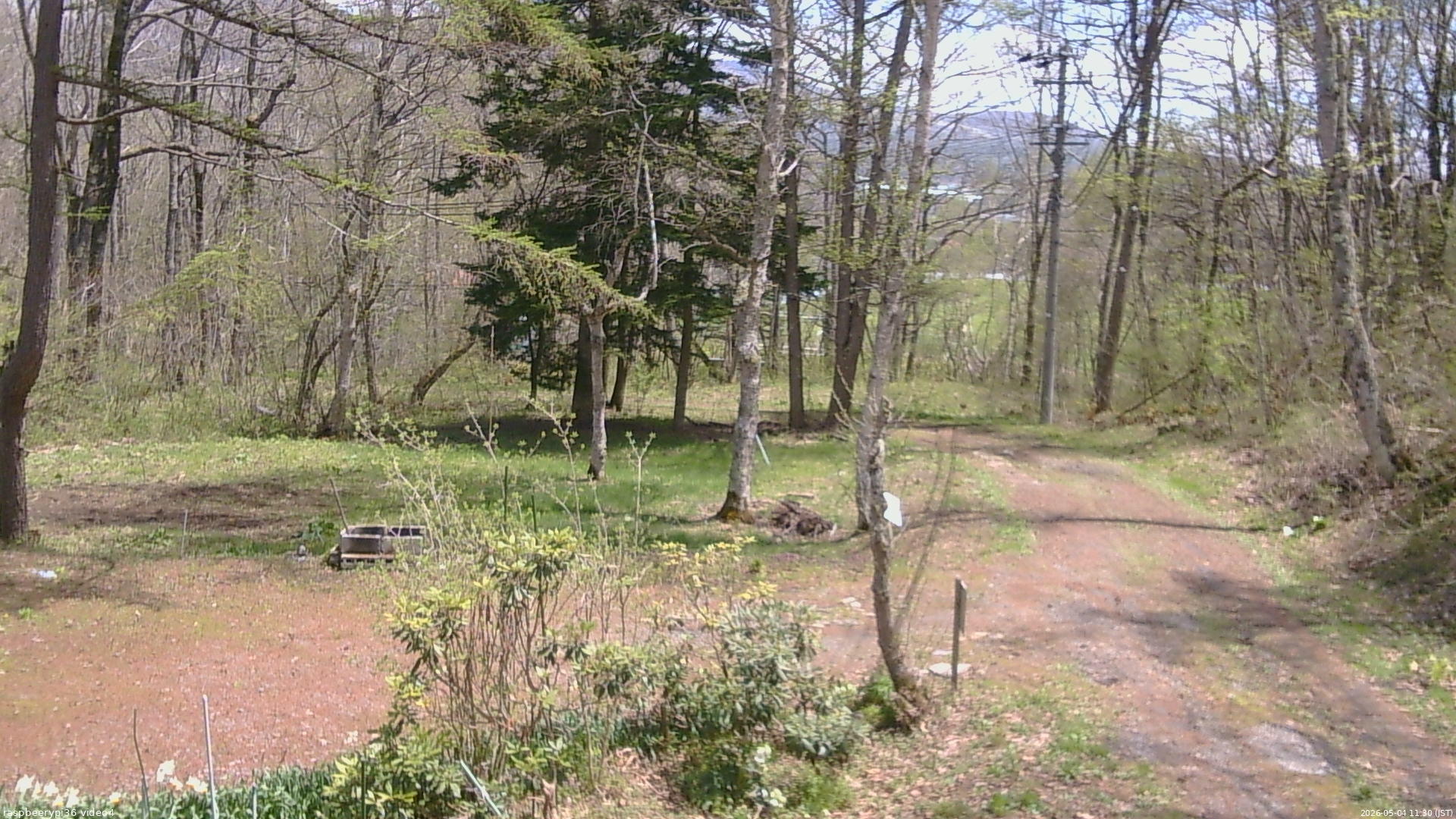 長野県菅平高原 ゆたか山荘 坂上 2026/05/04 11:30