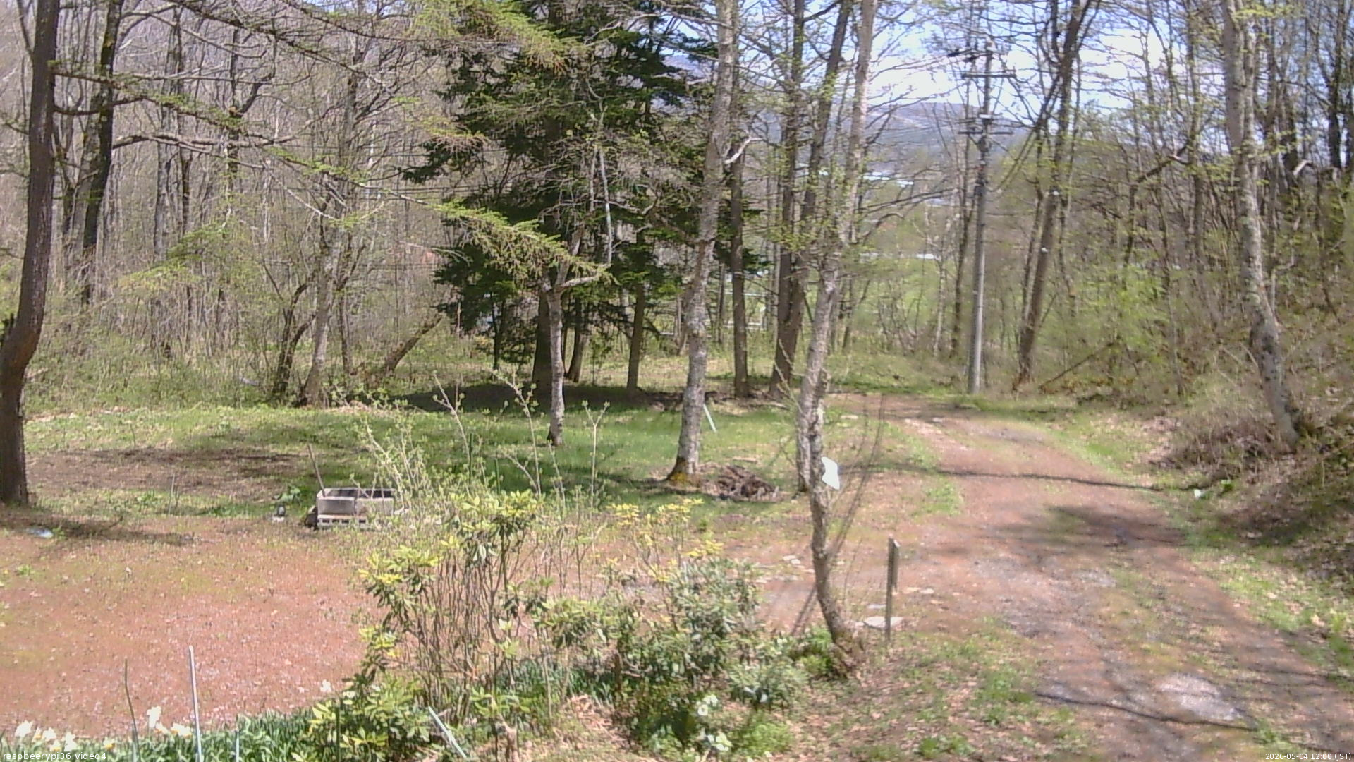 長野県菅平高原 ゆたか山荘 坂上 2026/05/04 12:00