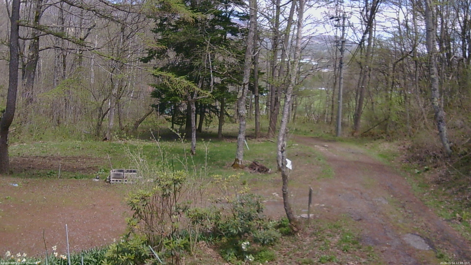 長野県菅平高原 ゆたか山荘 坂上 2026/05/04 12:45