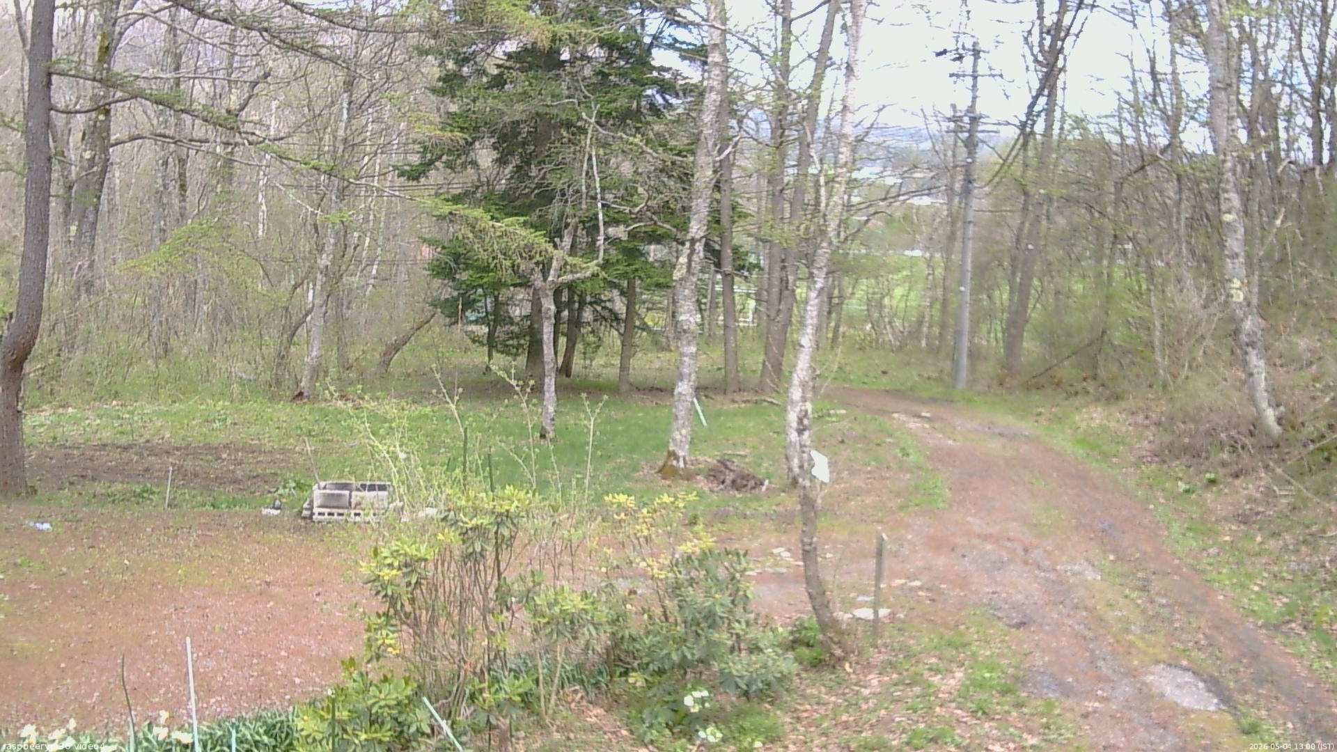 長野県菅平高原 ゆたか山荘 坂上 2026/05/04 13:00