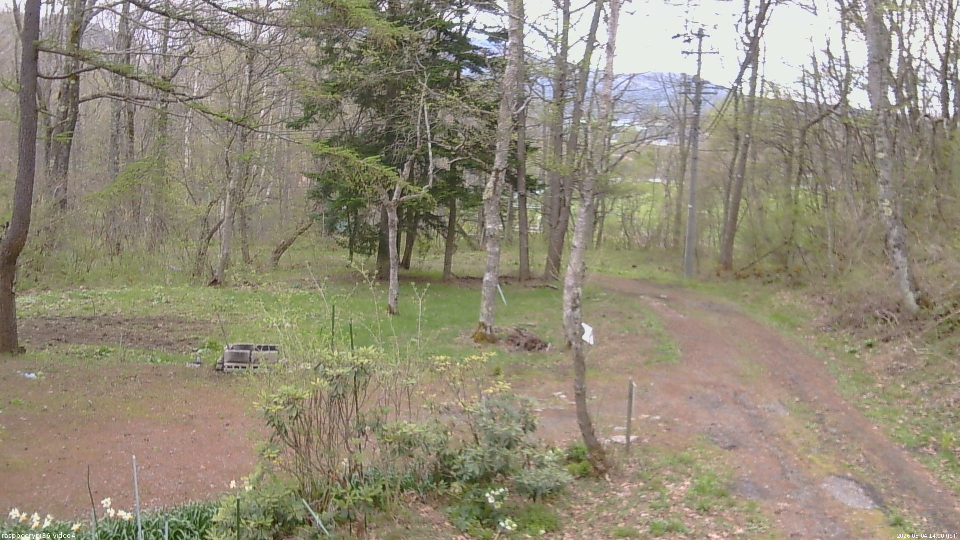 長野県菅平高原 ゆたか山荘 坂上 2026/05/04 14:00