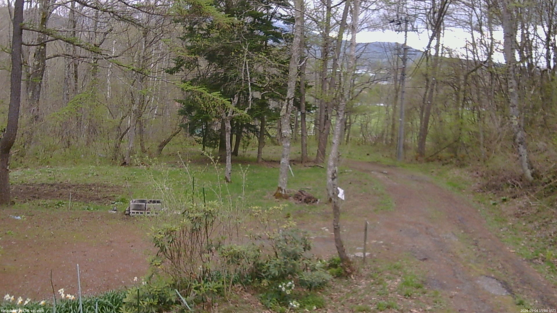 長野県菅平高原 ゆたか山荘 坂上 2026/05/04 15:00