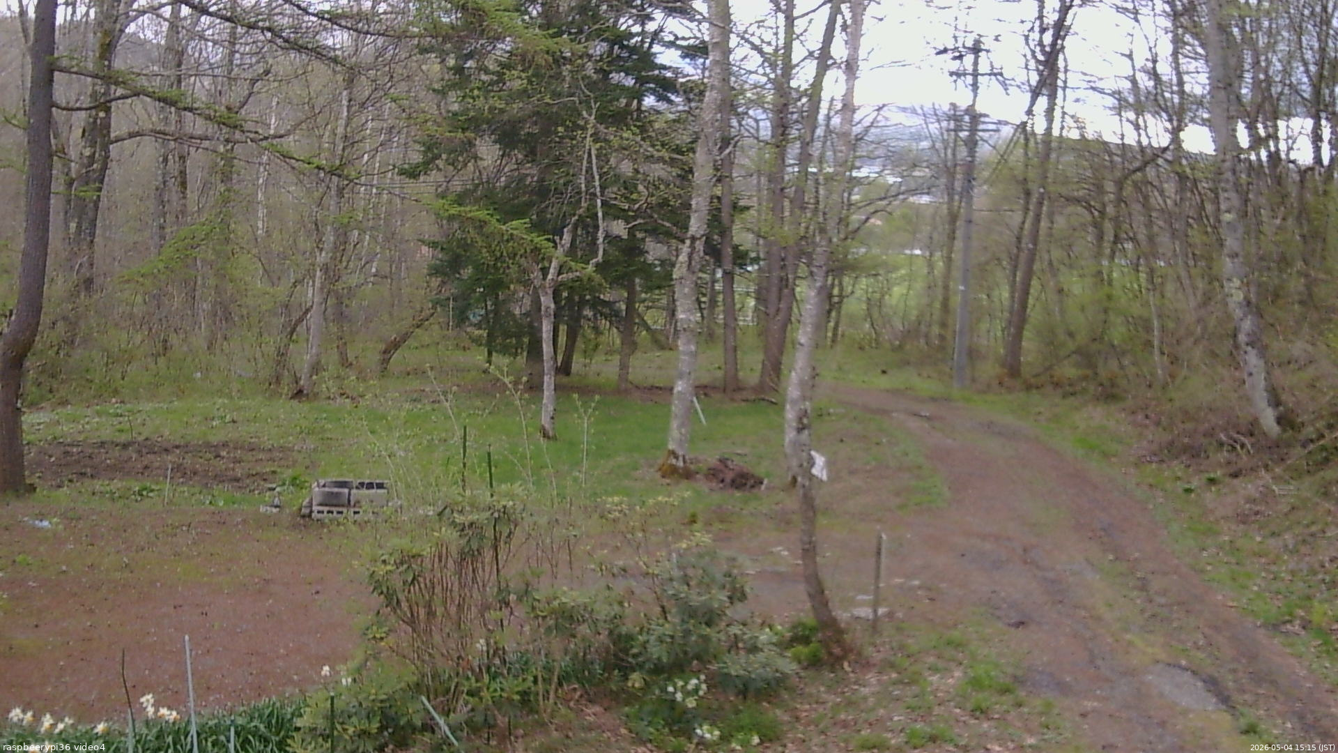 長野県菅平高原 ゆたか山荘 坂上 2026/05/04 15:15